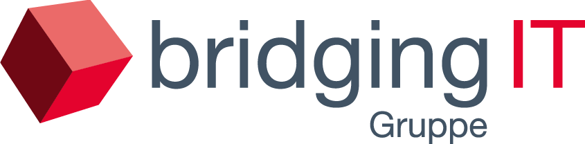BridgingIT Pacemakers